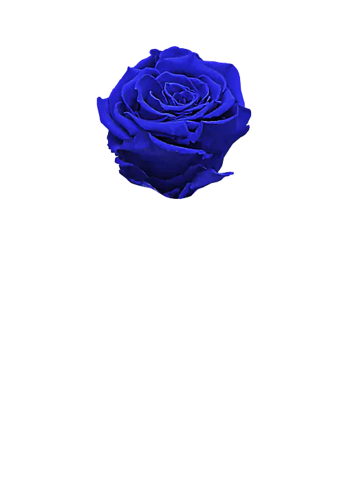 Bouquet con Rosa Blu Stabilizzata - Consegna a Domicilio