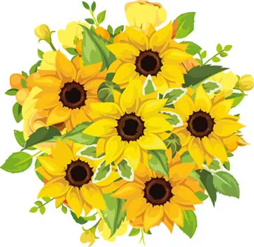 Bouquet già pronti, graziosi e profumati realizzati ogni mattina con Girasoli e, Verde decorativo di stagione in Confezione a Tono. Esprime Allegria, Felicità e Affetto. Adatto per occasioni come Compleanni, Amicizia, Amore, Felicitazioni, Nascita, Anniversari e Inaugurazioni.