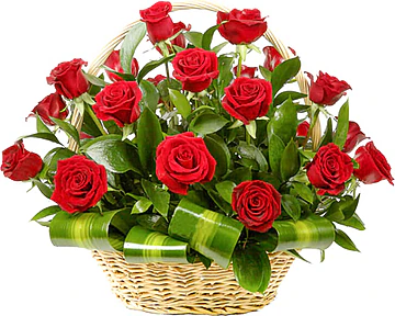 Cesto con 24  Rose Rosse Big di Prima Scelta e Verde Misto Decorativo di Stagione. Esprime Amore, Passione, Amicizia e Affetto. Adatto per occasioni come Compleanni, Amicizia, Amore, Felicitazioni, Anniversari e Inaugurazioni.