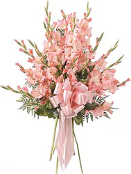 Fascio funebre di gladioli dai toni rosa