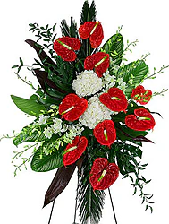 Cuscino funebre di anthurium, peonie e fiori misti dai toni bianchi e rossi