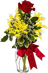 Bellissima composizione semplice e di grande effetto con una Rosa Rossa Big e Contorno di Mimose in elegante confezione con verde decorativo.