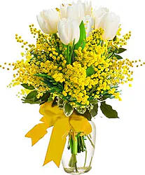 Composizione di Mimose e Tulipani Bianchi confezionata con verde decorativo.