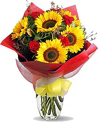 Girasoli Big e Rose Rosse con Verde Decorativo di Stagione in elegante Confezione a tono