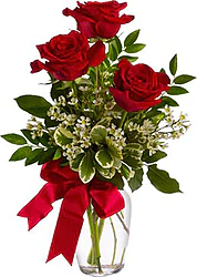 Tre Rose Rosse Big di Prima scelta con Verde Decorativo di stagione in Elegante Confezione a Tono. Il Tris perfetto per le Tue Occasioni Romantiche