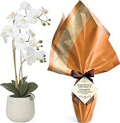 Uovo di Pasqua con Pianta di Orchidea di Prima scelta in elegante confezione