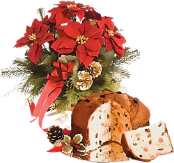 Stella di natale rossa di prima scelta con panettone